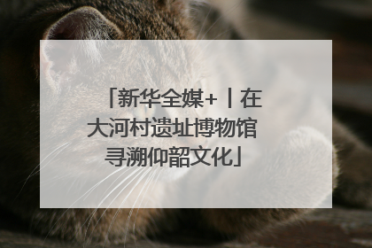 新华全媒+丨在大河村遗址博物馆寻溯仰韶文化