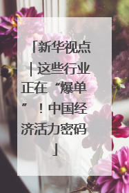 新华视点|这些行业正在“爆单”!中国经济活力密码