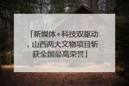 新媒体+科技双驱动，山西两大文物项目斩获全国最高荣誉