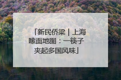 新民侨梁｜上海嗦面地图：一筷子夹起多国风味