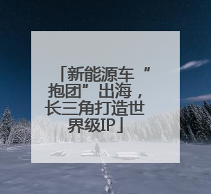新能源车“抱团”出海，长三角打造世界级IP