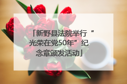 新野县法院举行“光荣在党50年”纪念章颁发活动