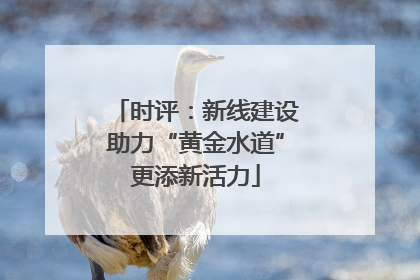 时评：新线建设助力“黄金水道”更添新活力