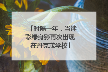 时隔一年，当迷彩绿身影再次出现在丹克茂学校