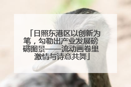 日照东港区以创新为笔，勾勒出产业发展磅礴图景——流动画卷里 激情与诗意共舞