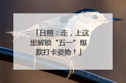 日照：走，上这里解锁“五一”爆款打卡姿势！