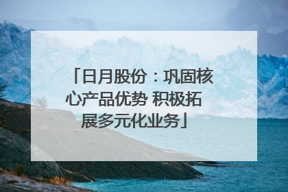 日月股份：巩固核心产品优势 积极拓展多元化业务
