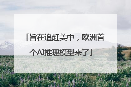 旨在追赶美中，欧洲首个AI推理模型来了