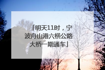 明天11时，宁波舟山港六横公路大桥一期通车