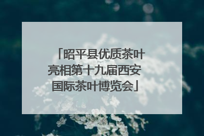 昭平县优质茶叶亮相第十九届西安国际茶叶博览会