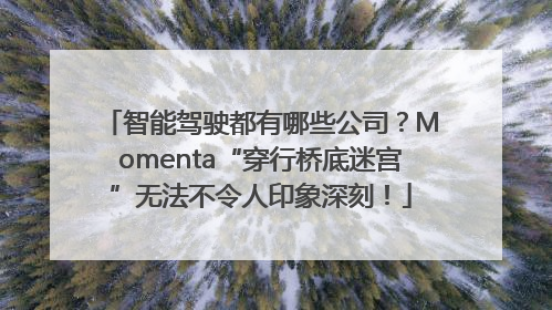 智能驾驶都有哪些公司？Momenta“穿行桥底迷宫”无法不令人印象深刻！