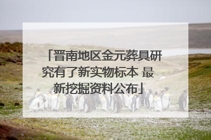 晋南地区金元葬具研究有了新实物标本 最新挖掘资料公布