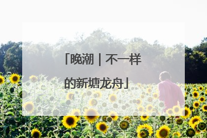 晚潮｜不一样的新塘龙舟