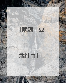 晚潮｜豆蔻往事