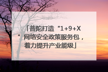 普陀打造“1+9+X”网络安全政策服务包，着力提升产业能级