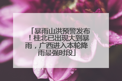 暴雨山洪预警发布！桂北已出现大到暴雨，广西进入本轮降雨最强时段