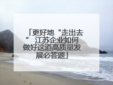 更好地“走出去” 江苏企业如何做好这道高质量发展必答题