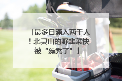 最多日涌入两千人！北灵山的野韭菜快被“薅秃了”