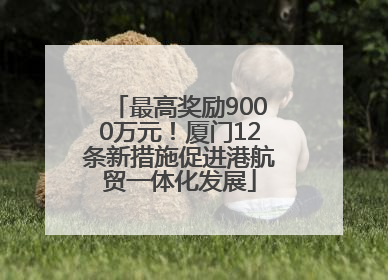 最高奖励9000万元！厦门12条新措施促进港航贸一体化发展