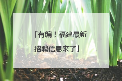 有编！福建最新招聘信息来了