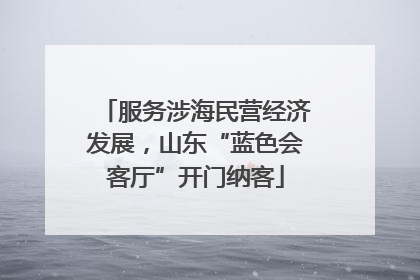 服务涉海民营经济发展，山东“蓝色会客厅”开门纳客