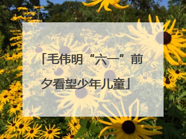 毛伟明“六一”前夕看望少年儿童