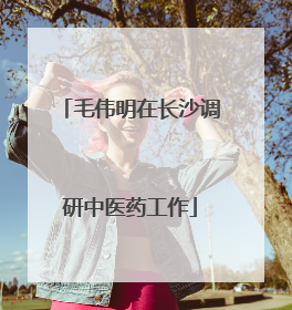 毛伟明在长沙调研中医药工作