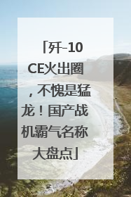 歼-10CE火出圈，不愧是猛龙！国产战机霸气名称大盘点