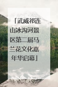 武威祁连山冰沟河景区第二届马兰花文化嘉年华启幕
