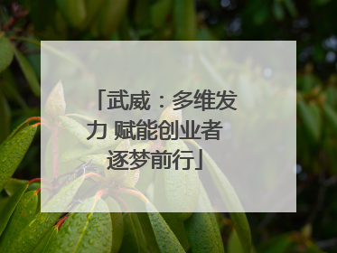 武威：多维发力 赋能创业者逐梦前行