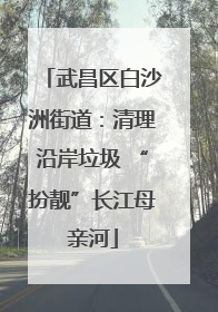 武昌区白沙洲街道：清理沿岸垃圾 “扮靓”长江母亲河