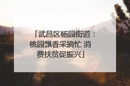 武昌区杨园街道：桃园飘香采摘忙 消费扶贫促振兴