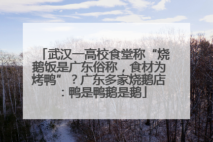 武汉一高校食堂称“烧鹅饭是广东俗称，食材为烤鸭”？广东多家烧鹅店：鸭是鸭鹅是鹅