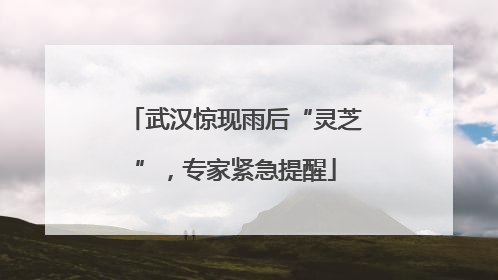 武汉惊现雨后“灵芝”，专家紧急提醒