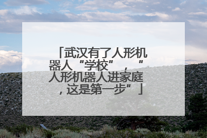 武汉有了人形机器人“学校”，“人形机器人进家庭，这是第一步”