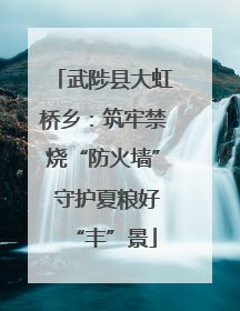 武陟县大虹桥乡：筑牢禁烧“防火墙” 守护夏粮好“丰”景