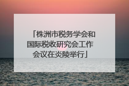 株洲市税务学会和国际税收研究会工作会议在炎陵举行