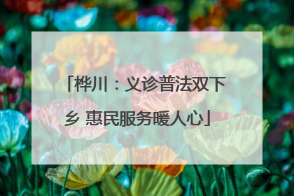 桦川：义诊普法双下乡 惠民服务暖人心