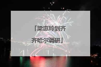 梁惠玲到齐齐哈尔调研