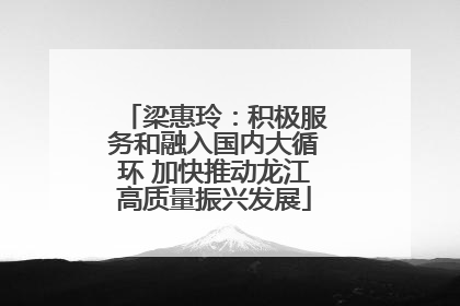 梁惠玲：积极服务和融入国内大循环 加快推动龙江高质量振兴发展