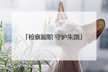 检察履职 守护朱鹮