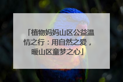 植物妈妈山区公益温情之行：用自然之爱，暖山区童梦之心