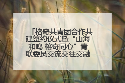 榕奇共青团合作共建签约仪式暨“山海和鸣 榕奇同心”青联委员交流交往交融活动在福州举行