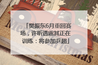 樊振东6月重回赛场，许昕透露其正在训练：将参加乒超