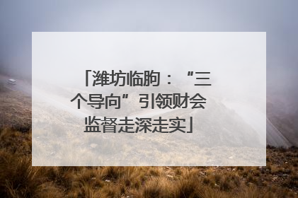 潍坊临朐：“三个导向”引领财会监督走深走实