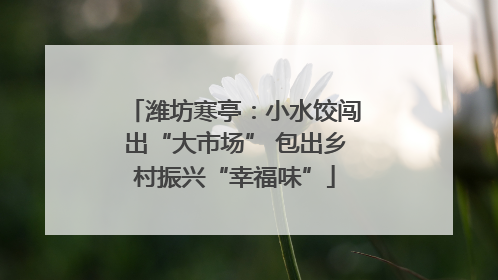 潍坊寒亭：小水饺闯出“大市场” 包出乡村振兴“幸福味”
