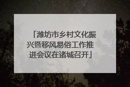 潍坊市乡村文化振兴暨移风易俗工作推进会议在诸城召开
