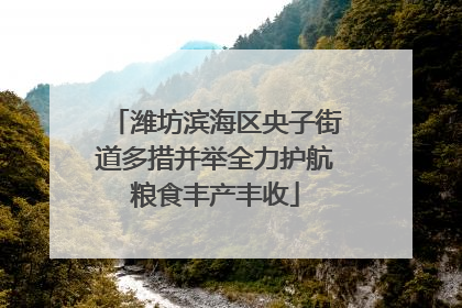 潍坊滨海区央子街道多措并举全力护航粮食丰产丰收