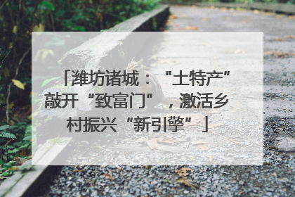 潍坊诸城：“土特产”敲开“致富门”，激活乡村振兴“新引擎”