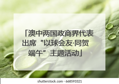 澳中两国政商界代表出席“以球会友·同贺端午”主题活动